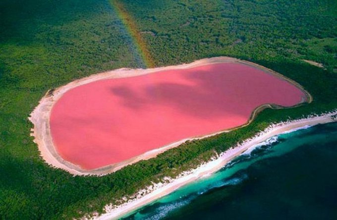 Загадка природы — розовое озеро Хиллер (Hillier)