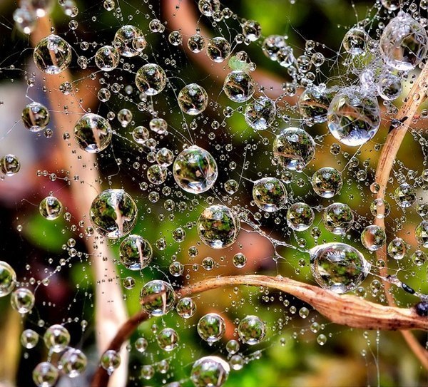 Капли воды как произведение искусства