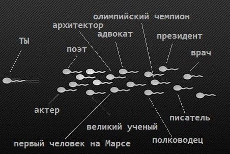 Принцип сперматозоида!!!