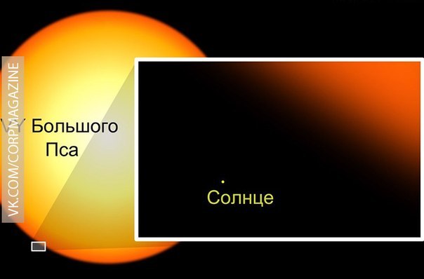 VY Большого Пса — самая большая из известных звёзд